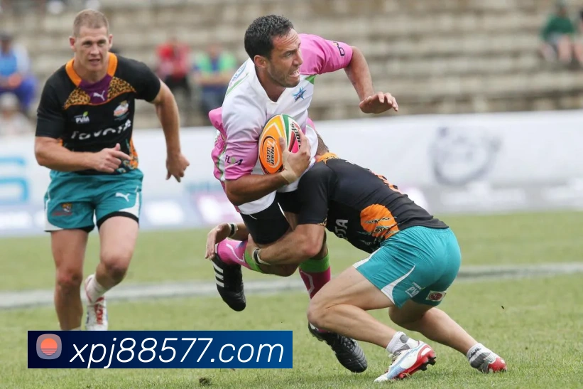 新葡京娱乐平台生态图